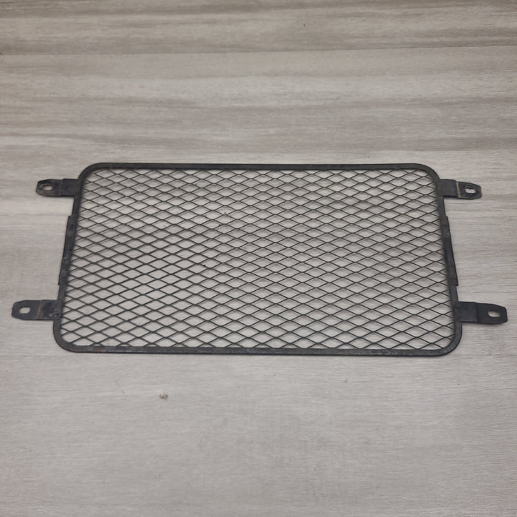GSF250V Radiator screen
