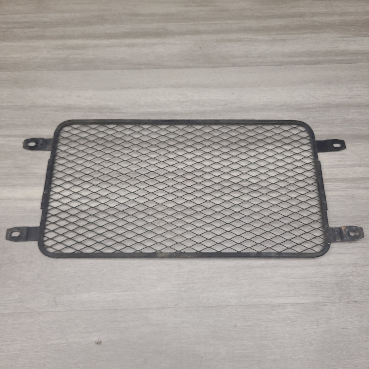 GSF250V Radiator screen