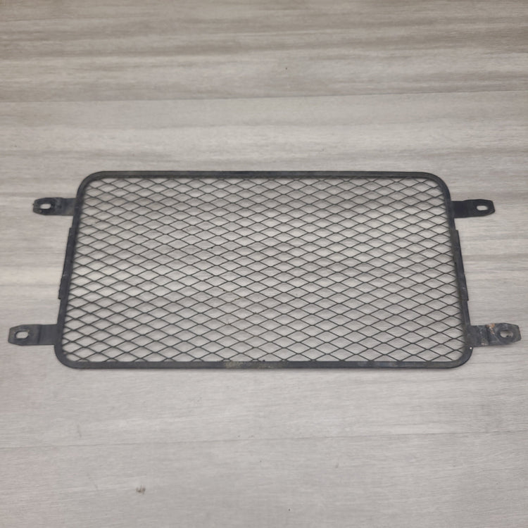 GSF250V Radiator screen