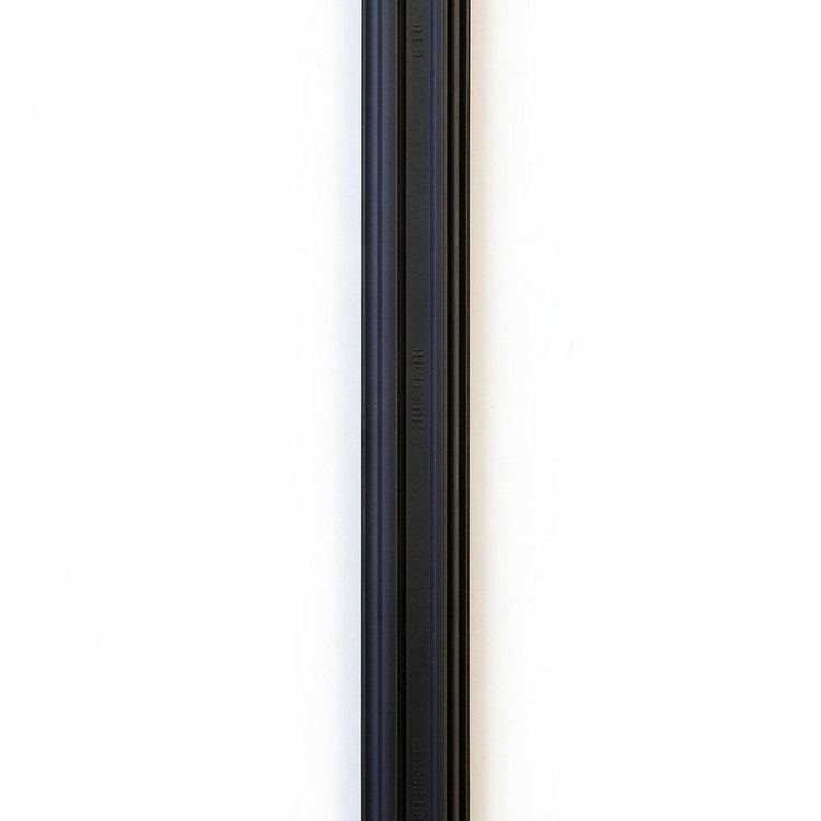 Weatherstrip Seal Suitable for Mitsubishi Outlander Outlander Sport RVR-3
