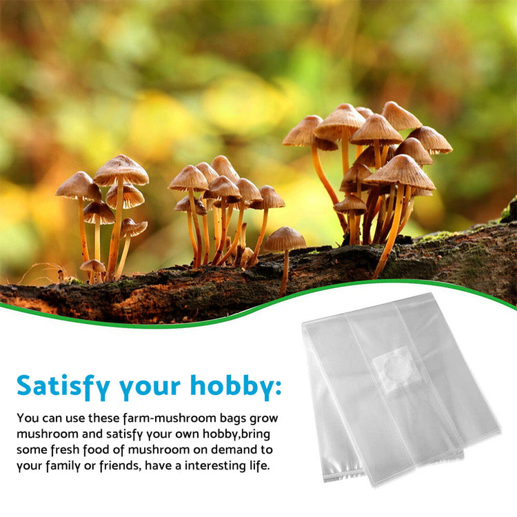 50X Mushroom Growing Bag Breathable Autoclavable Stand Up Tear Resistant Strong-2