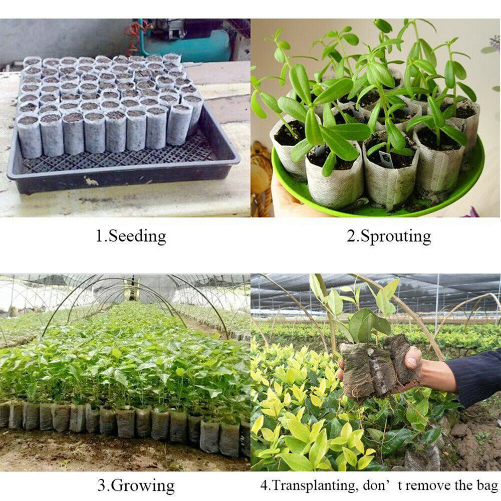 200x Non-Woven Biodegradable Grow Bags Suitable For Plant Nursery Seedling & Garden-3