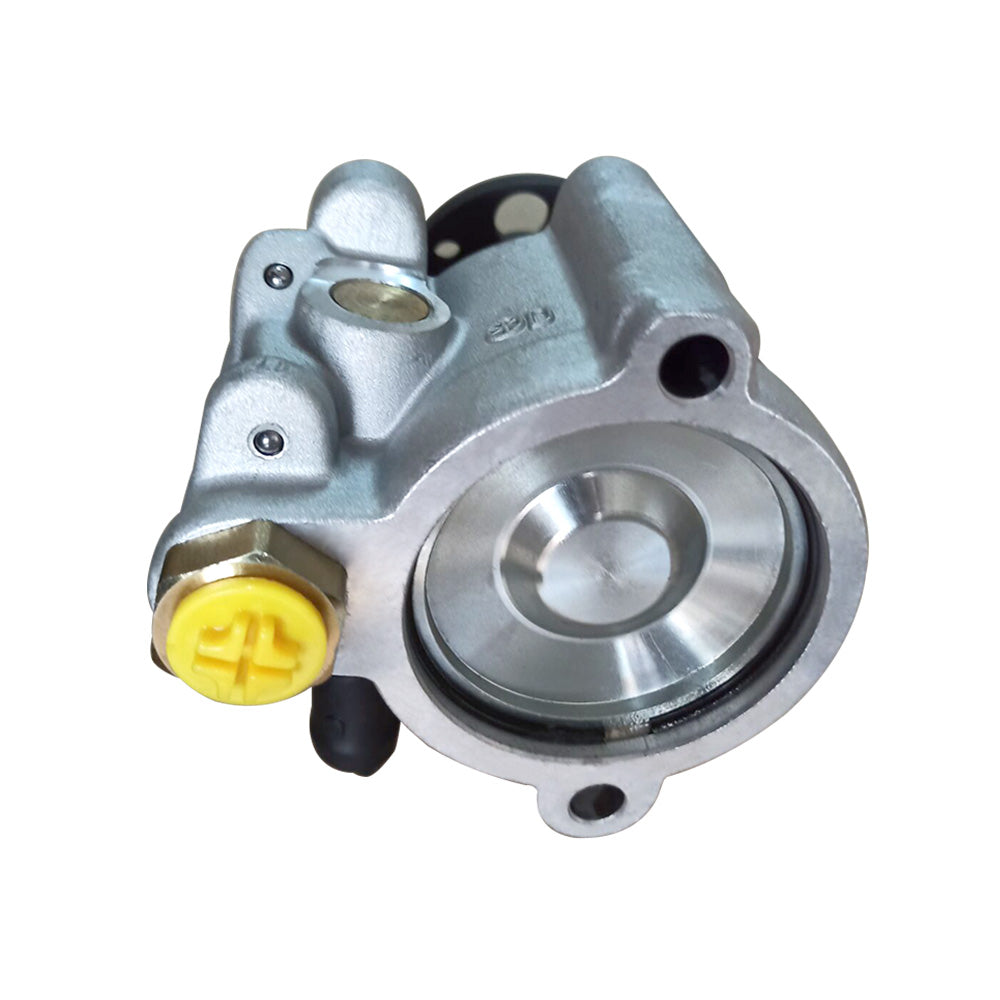 For Holden Commodore VS VT VX VU VY V6 P or S Pump WH WK 95-04 Power Steering Pump-4