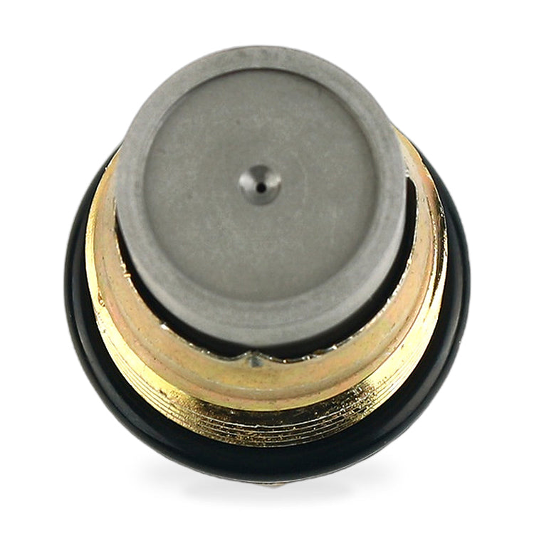 Fuel Rail Pressure Relief Valve Suitable for Renault Megane Laguna Scenic Koleos-0