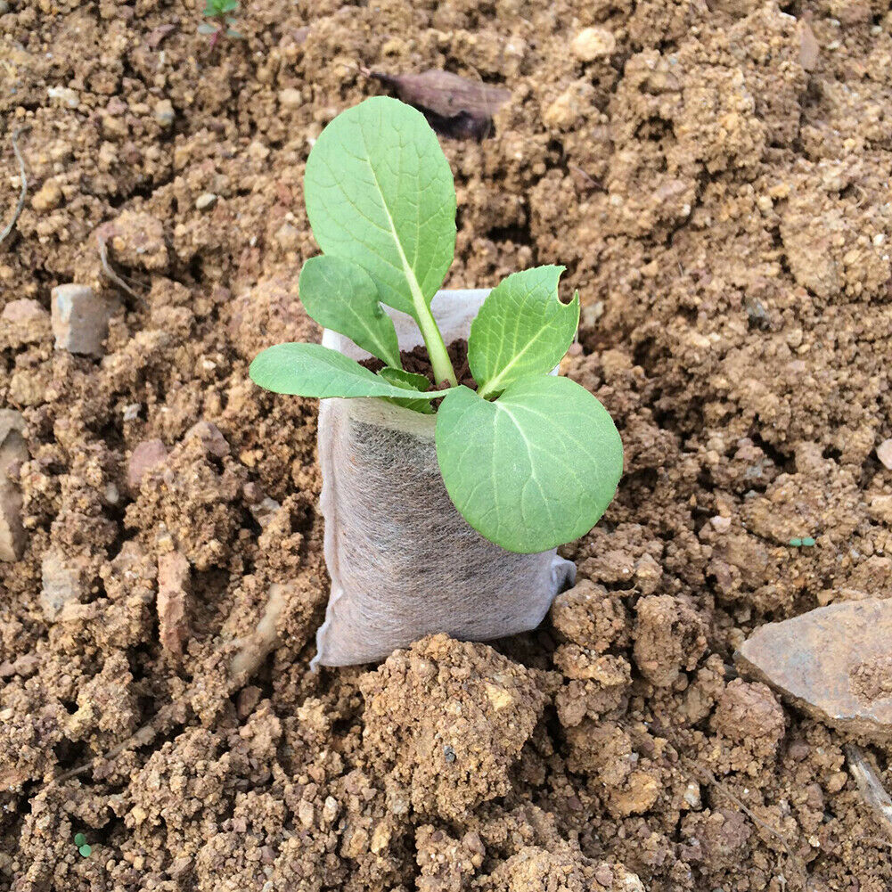 200x Non-Woven Biodegradable Grow Bags Suitable For Plant Nursery Seedling & Garden-0