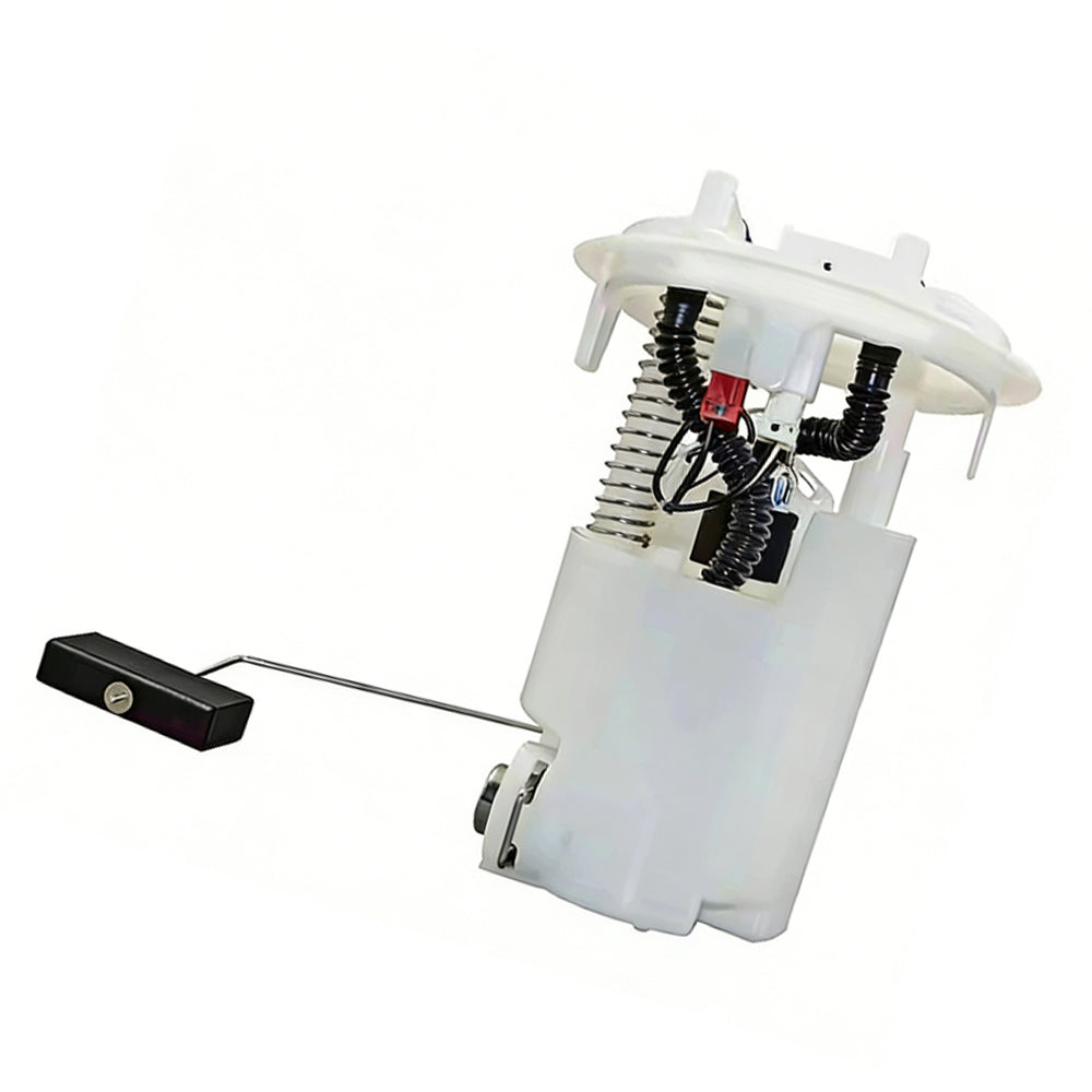 Fuel Pump Assembly Suitable For Peugeot Citroen C4 307 308 1.6L 2.0T Engine-0