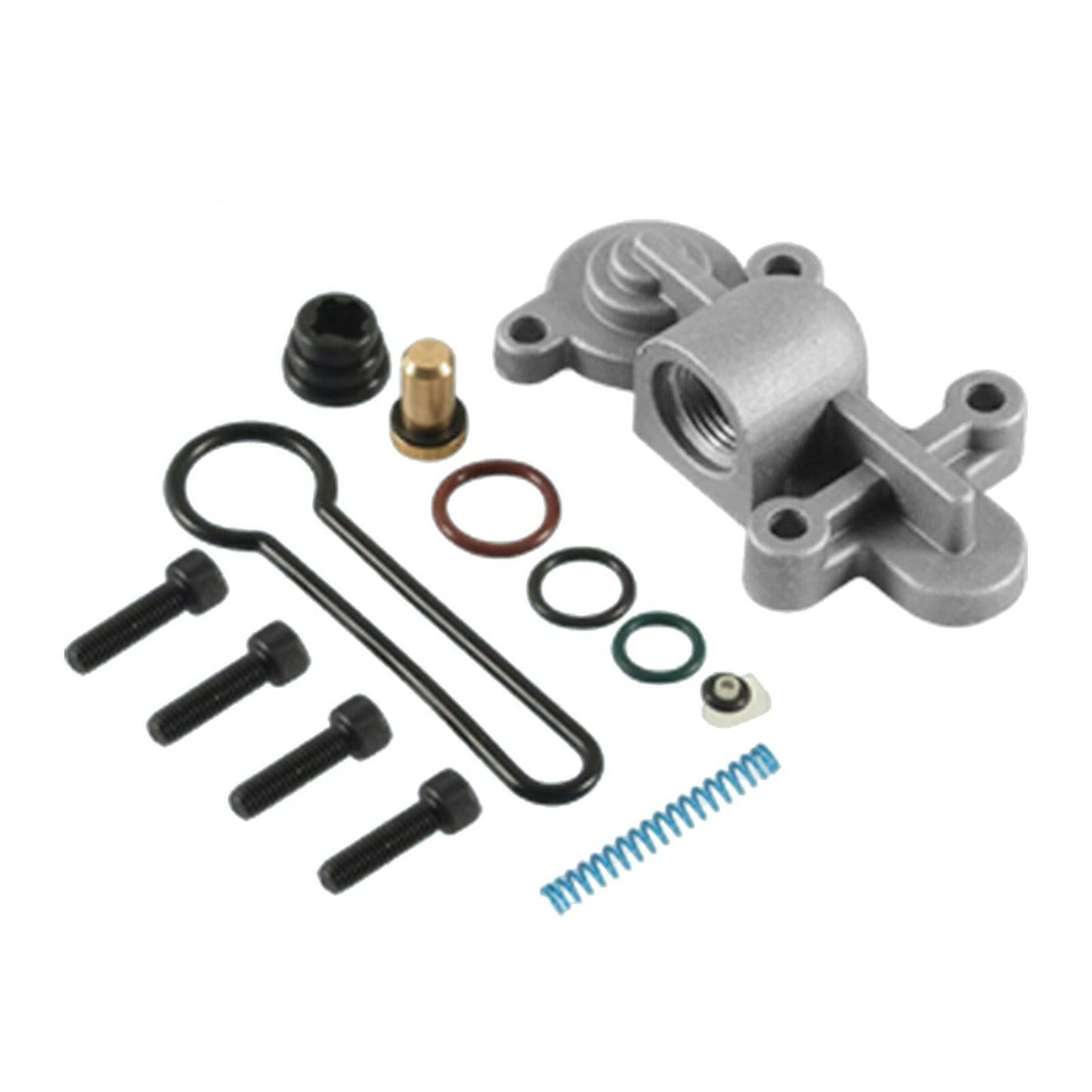 Fuel Pressure Regulator Kit Suitable For Ford F - 250 F - 350 F - 450 F - 550 6.0L 2003 - 2007 - Frazy's Auto Parts