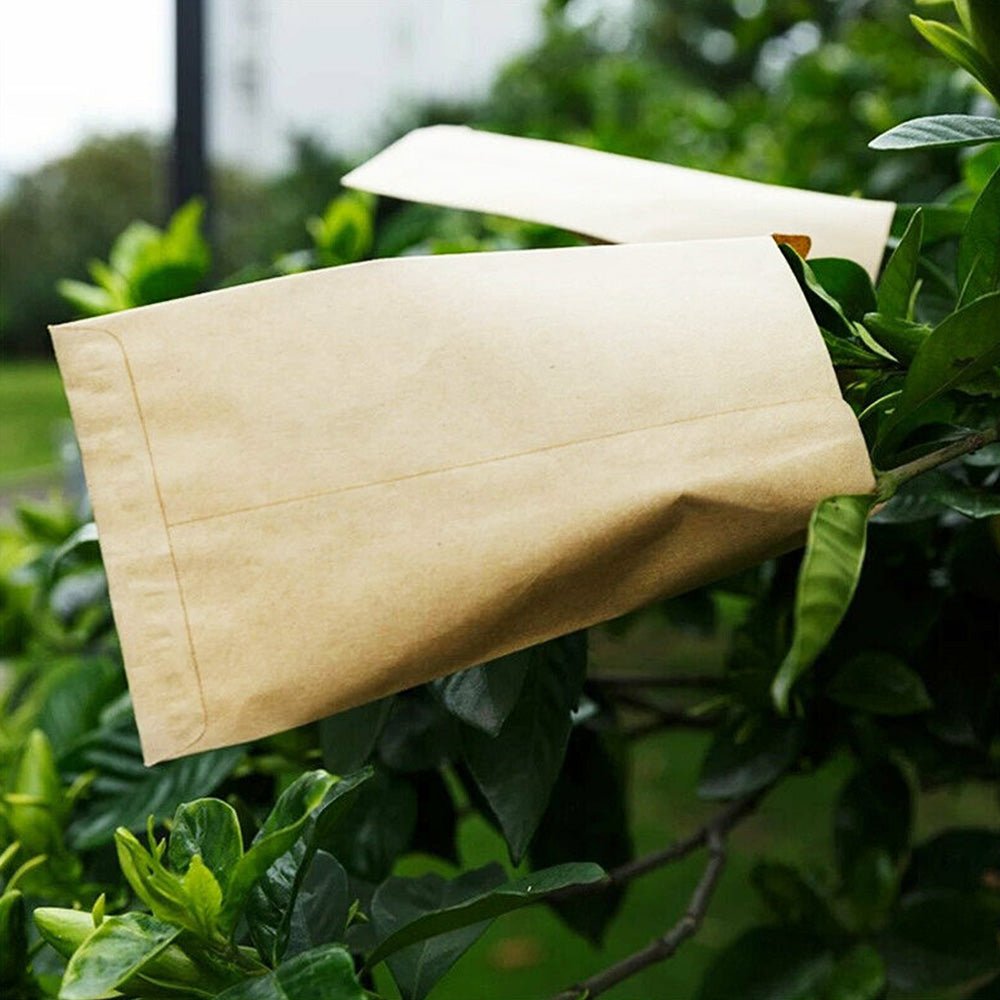 Kraft Paper Seed Packets Garden Home Storage Bags Mini Envelopes 6x11cm - Frazy's Auto Parts