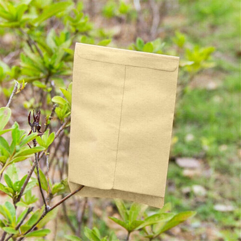 Kraft Paper Seed Packets Garden Home Storage Bags Mini Envelopes 6x11cm - Frazy's Auto Parts
