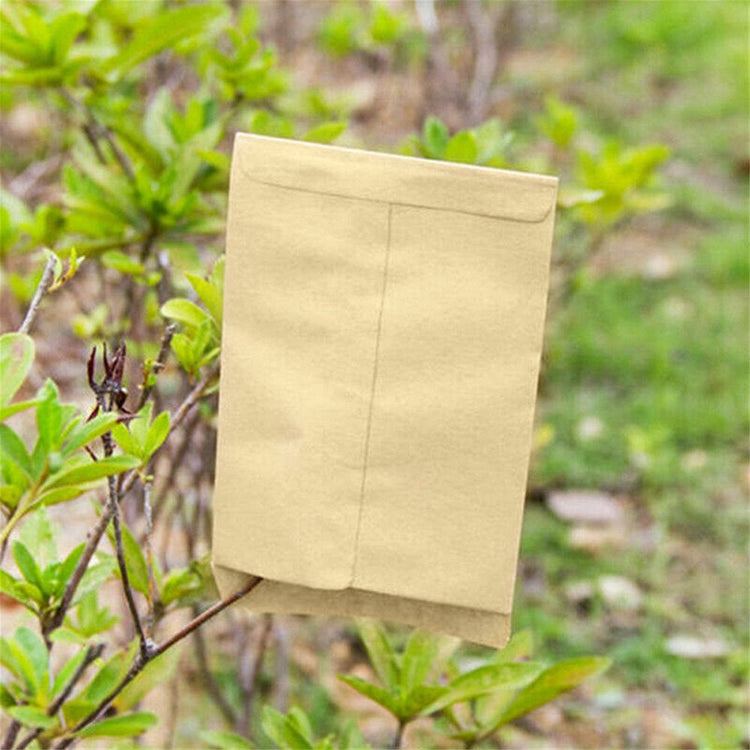 Kraft Paper Seed Packets Garden Home Storage Bags Mini Envelopes 6x11cm - Frazy's Auto Parts