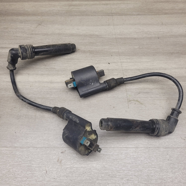 EX250 Ninja Coils and Leads
