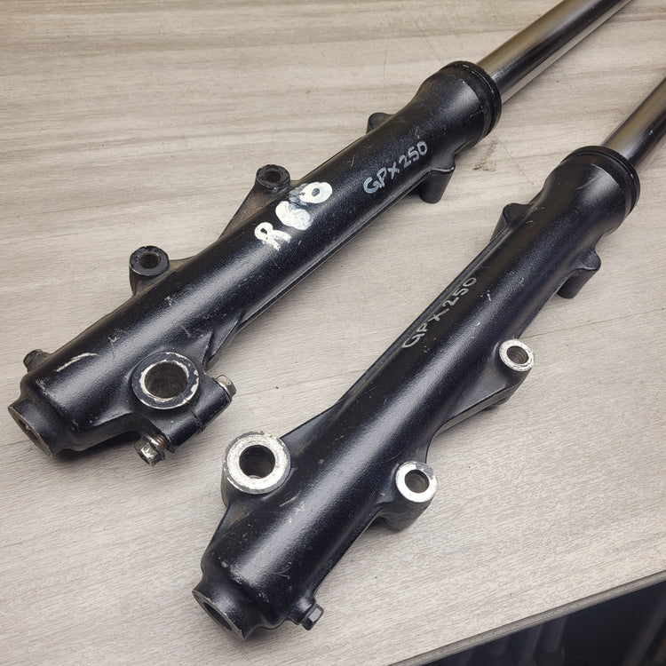 GPX250 Forks