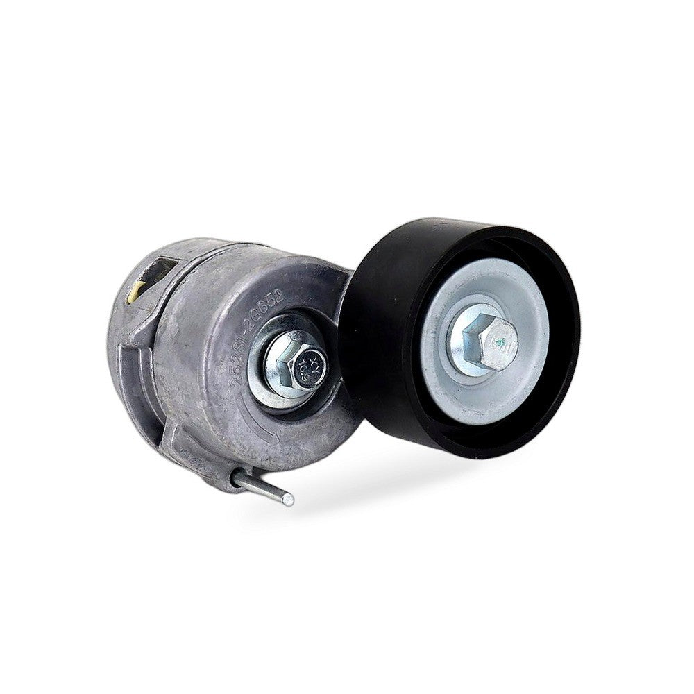 Auto Tensioner Bearing Assembly Suitable for Hyundai Santa Fe Sonata Tucson Kia