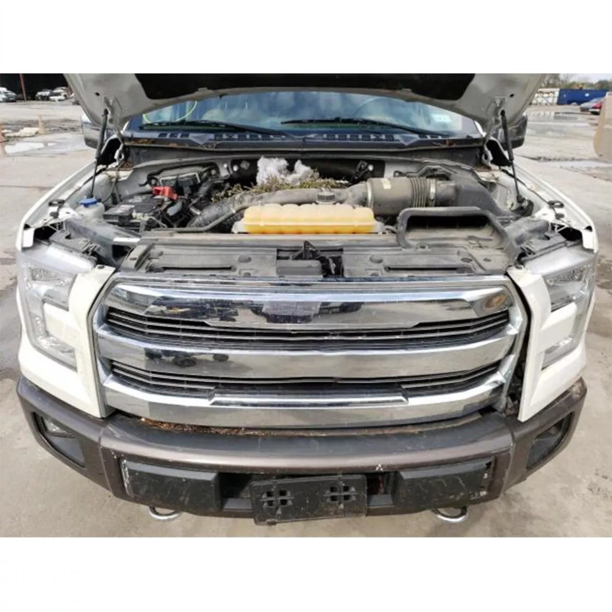2PCS Front Bonnet Hood Gas Struts For Ford Ranger PX2 PX3 Everest UA2 2015-2022