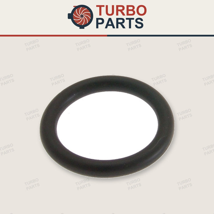 Suzuki Aerio Seal Ring, Spark Plug Tube