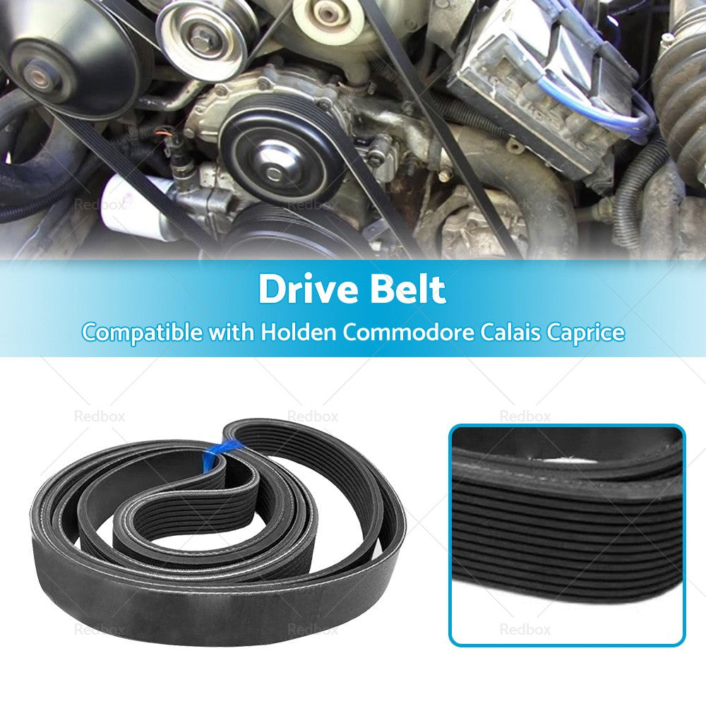 6PK2830 Serpentine Drive Belt Suitable for Holden Commodore VT VX WH VU V6 3.8