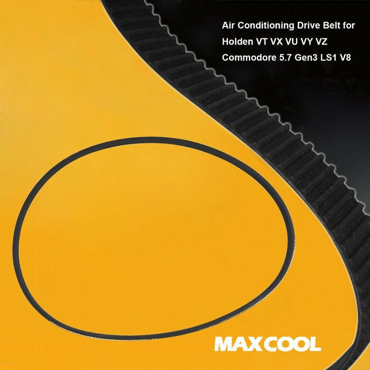 Drive Belt 4PK1100 Suitable for Holden Commodore VT VX VY VZ 5.7