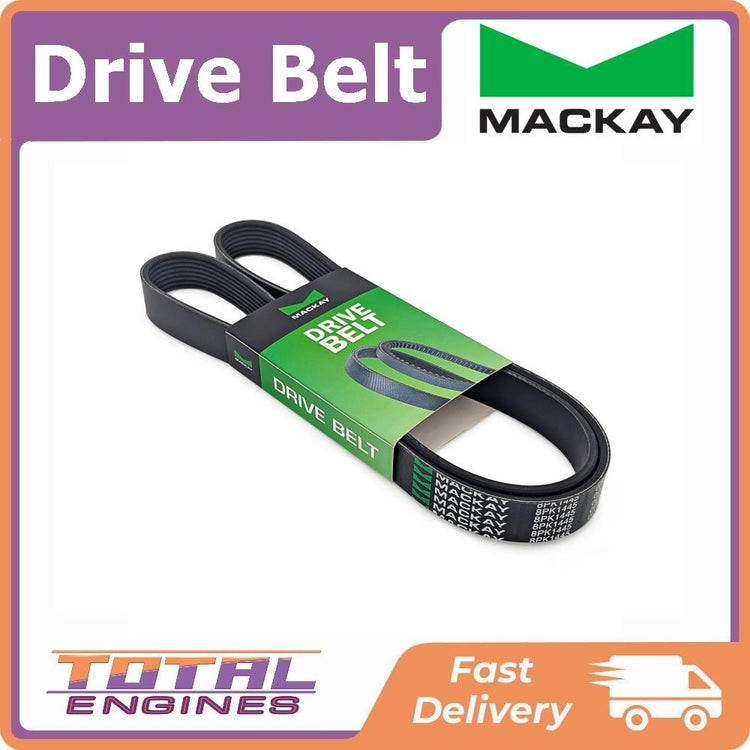 Mackay Drive Belt - Multi-Ribbed Belt - 8PK1445