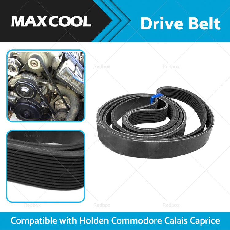 6PK2830 Serpentine Drive Belt Suitable for Holden Commodore VT VX WH VU V6 3.8