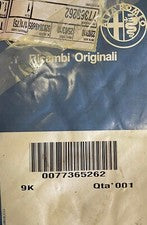Fiat 500 (2007-2012) Seal Gasket (Ivory Interior) 77365262 Genuine & New