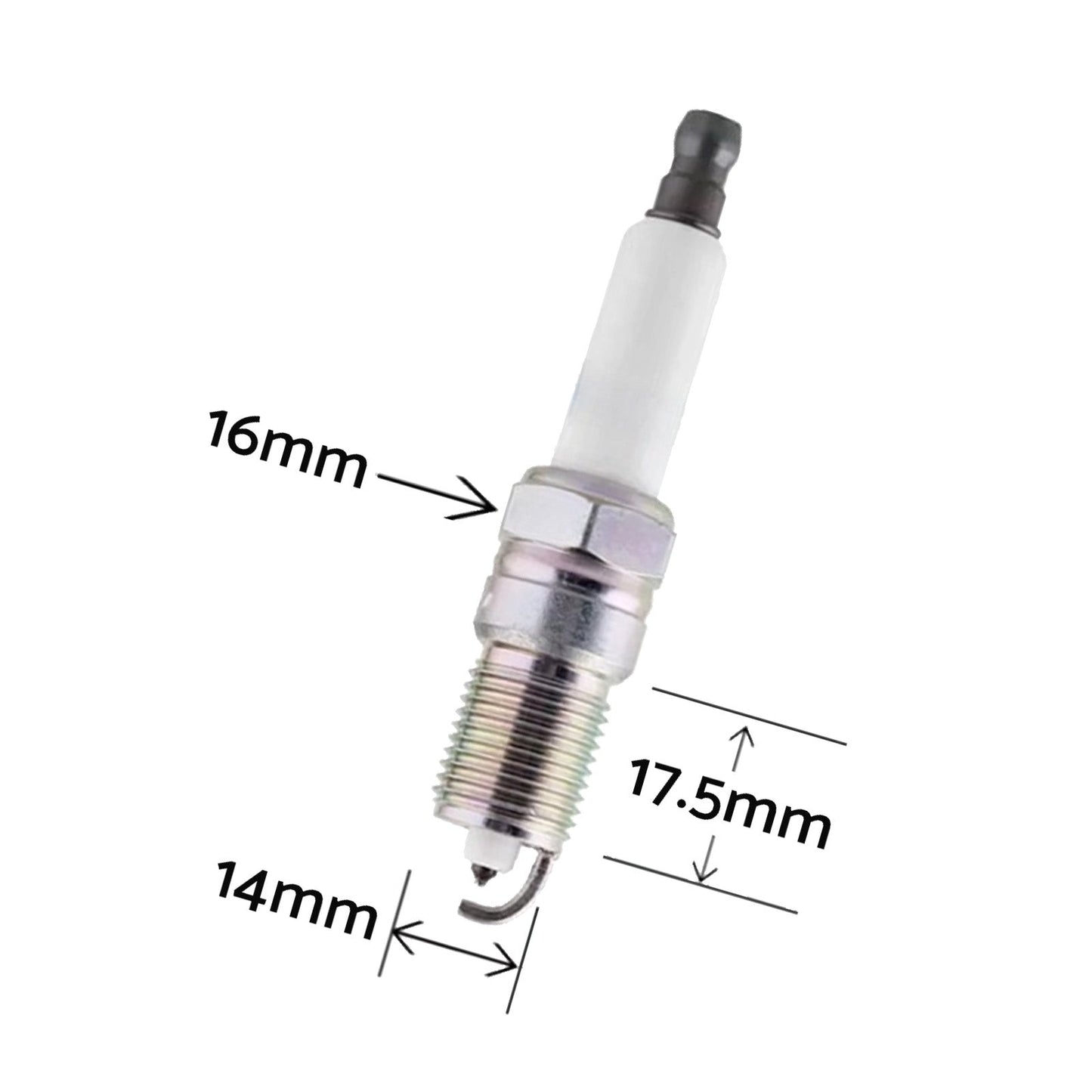 Spark Plug Set of 8 Suitable For Holden LS1 5.7L 12563707 4180519 - Frazy's Auto Parts